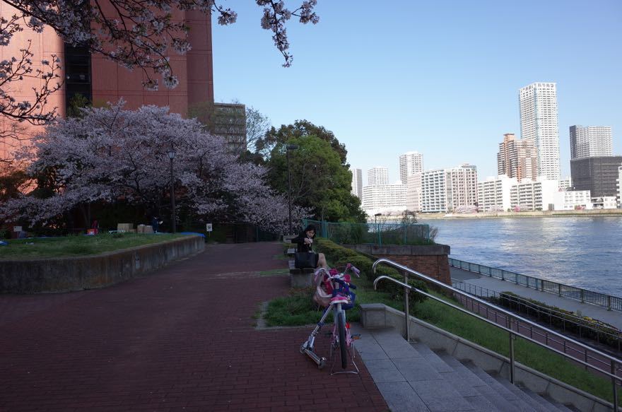 築地川公園の桜を抜けて_f0132230_10374914.jpg