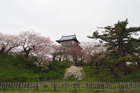 b0042334_16223219.jpg