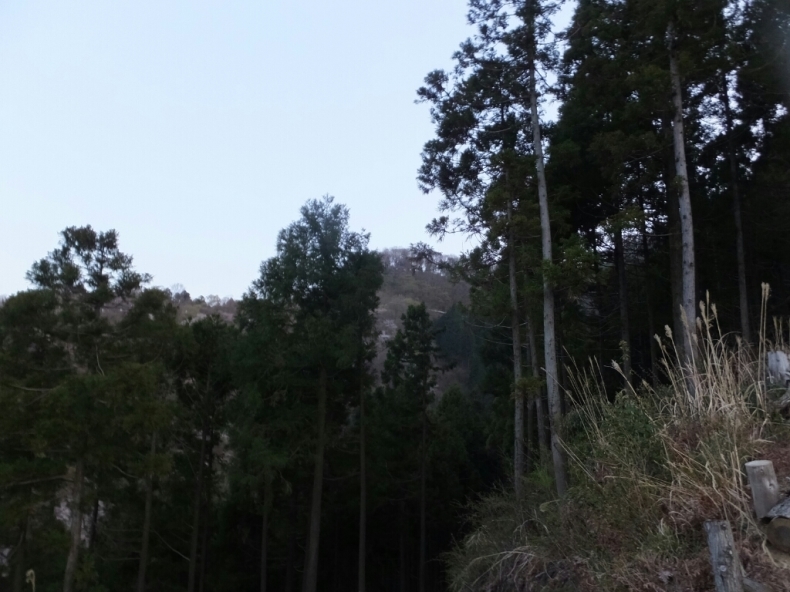 d0378837_19514387.jpg