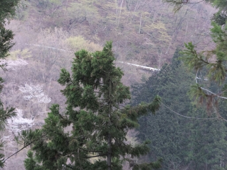 d0378837_19514628.jpg