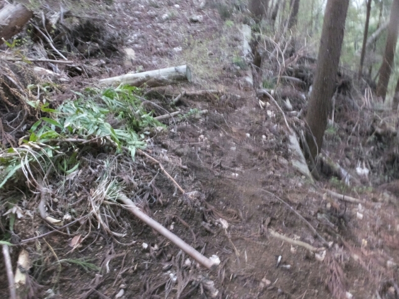 d0378837_19515967.jpg