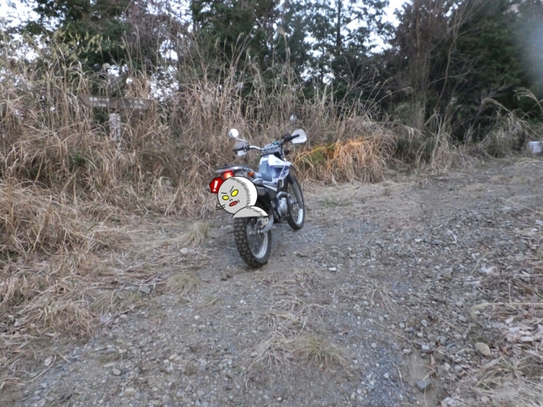 d0378837_20455222.jpg