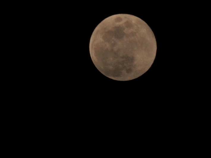 a0054240_22090400.jpg