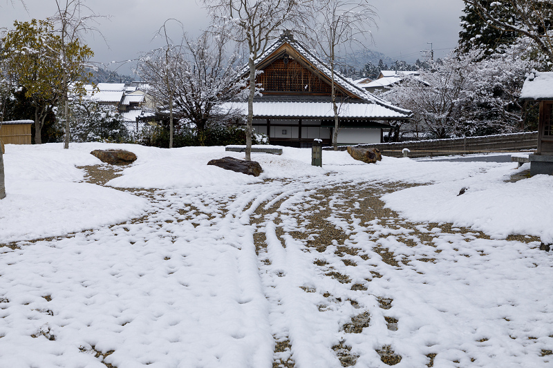 雪の京都2018　圓光寺の雪景色_f0155048_041929.jpg