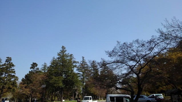 b0152049_11105576.jpg