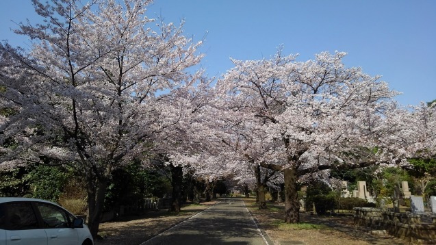 b0152049_11114462.jpg