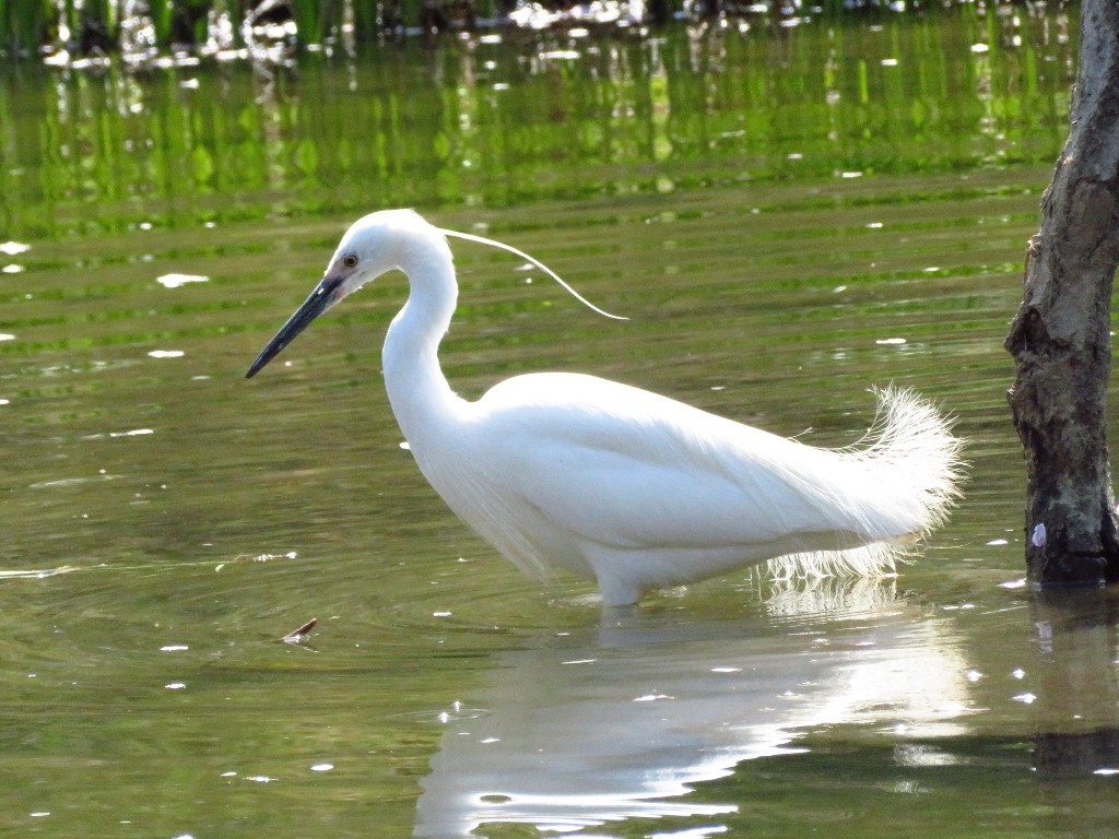 a0018655_13485680.jpg