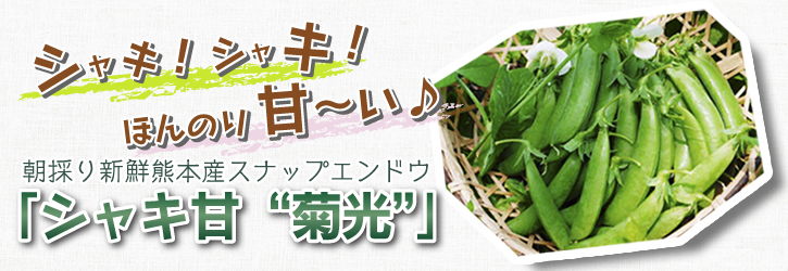 スナップエンドウ「シャキ甘“菊光”」大好評発売中!毎回の出荷数限定の為、早い者勝ちです!_a0254656_17160217.jpg
