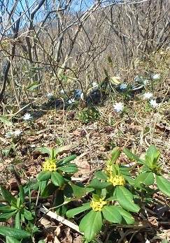 b0335256_17184275.jpg