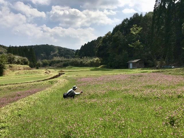 d0156557_09002189.jpeg