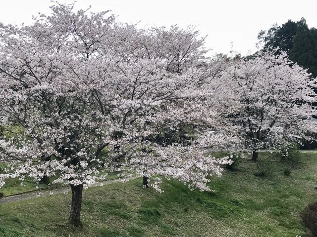 d0156557_09010821.jpeg