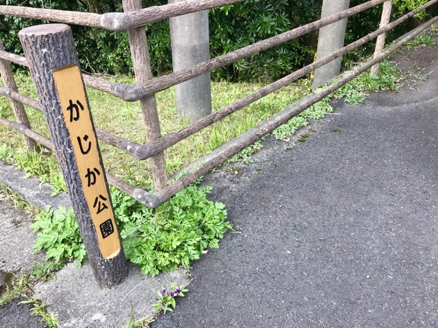 d0156557_09011753.jpeg