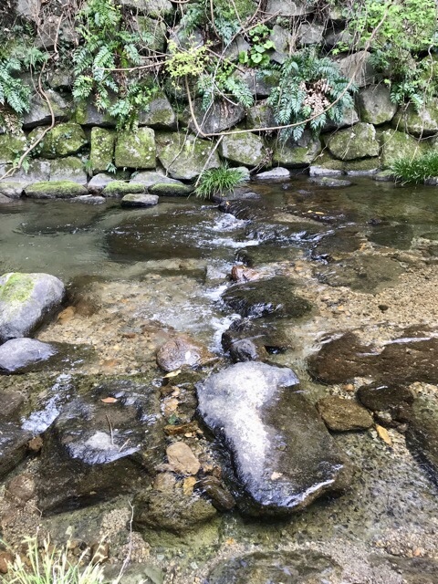 d0156557_09012691.jpeg