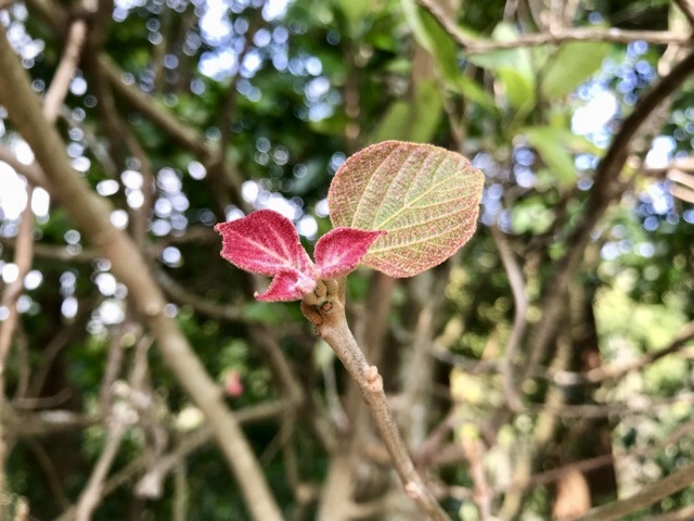 d0156557_09013530.jpeg