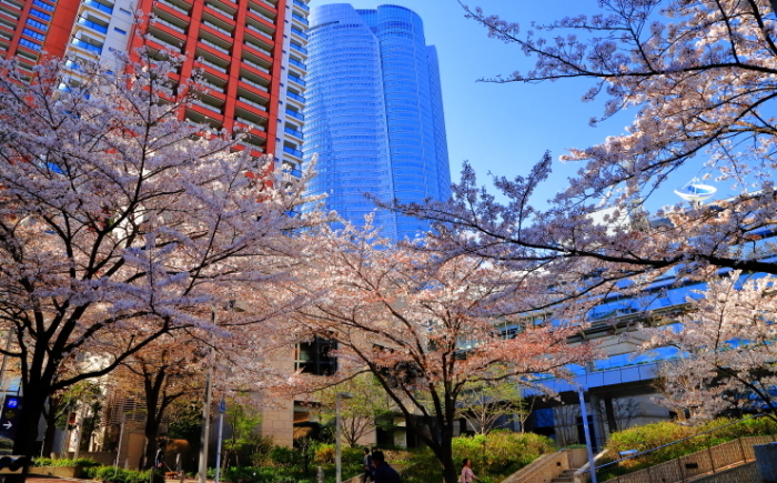 a0150260_14140716.jpg