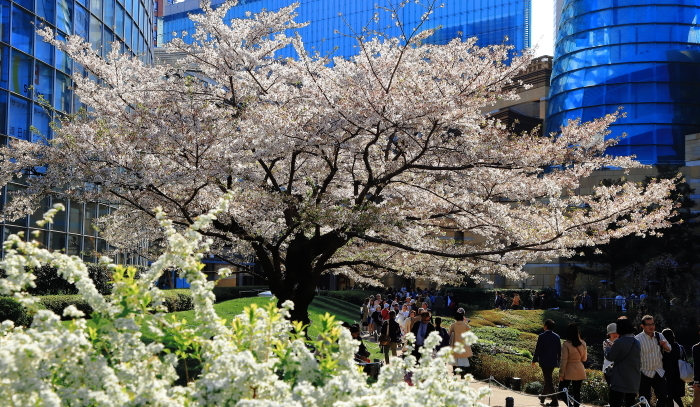 a0150260_14142896.jpg