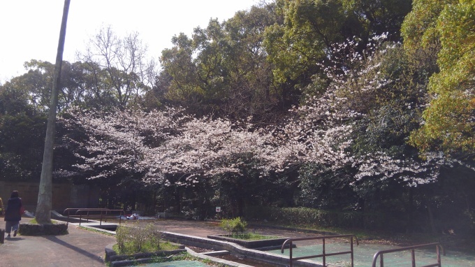 b0129860_01182371.jpg