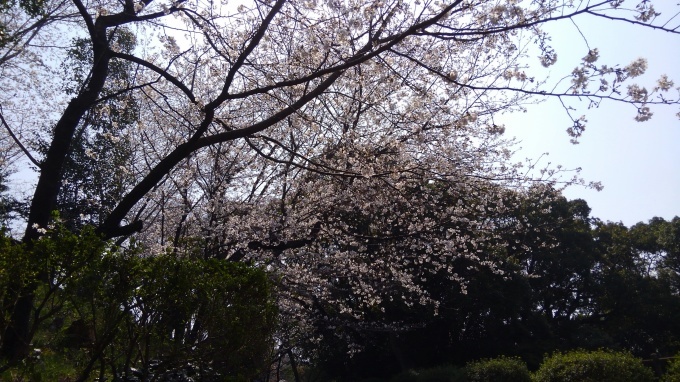 b0129860_01183640.jpg