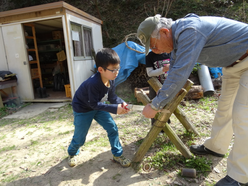 ZooCan企画「里山でお花見と山菜探し。原木シイタケの収穫と菌の植え付け体験」_c0108460_21503461.jpg