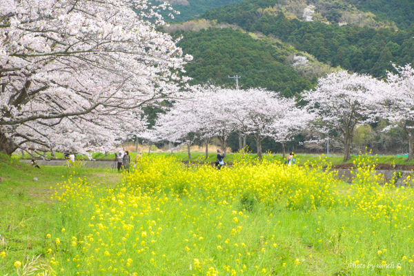 西伊豆松崎女子旅イェ〜イ♪_a0068763_14325279.jpg