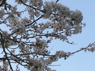a0295764_03143569.jpeg