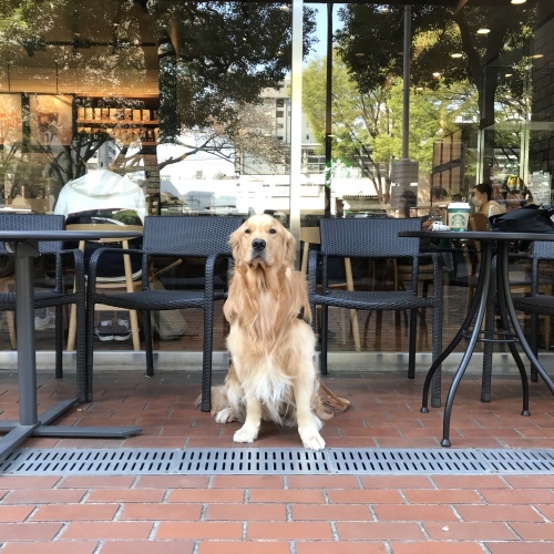 b0134364_11185986.jpeg