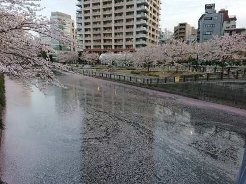 おはようモーニング_c0100865_05525500.jpg
