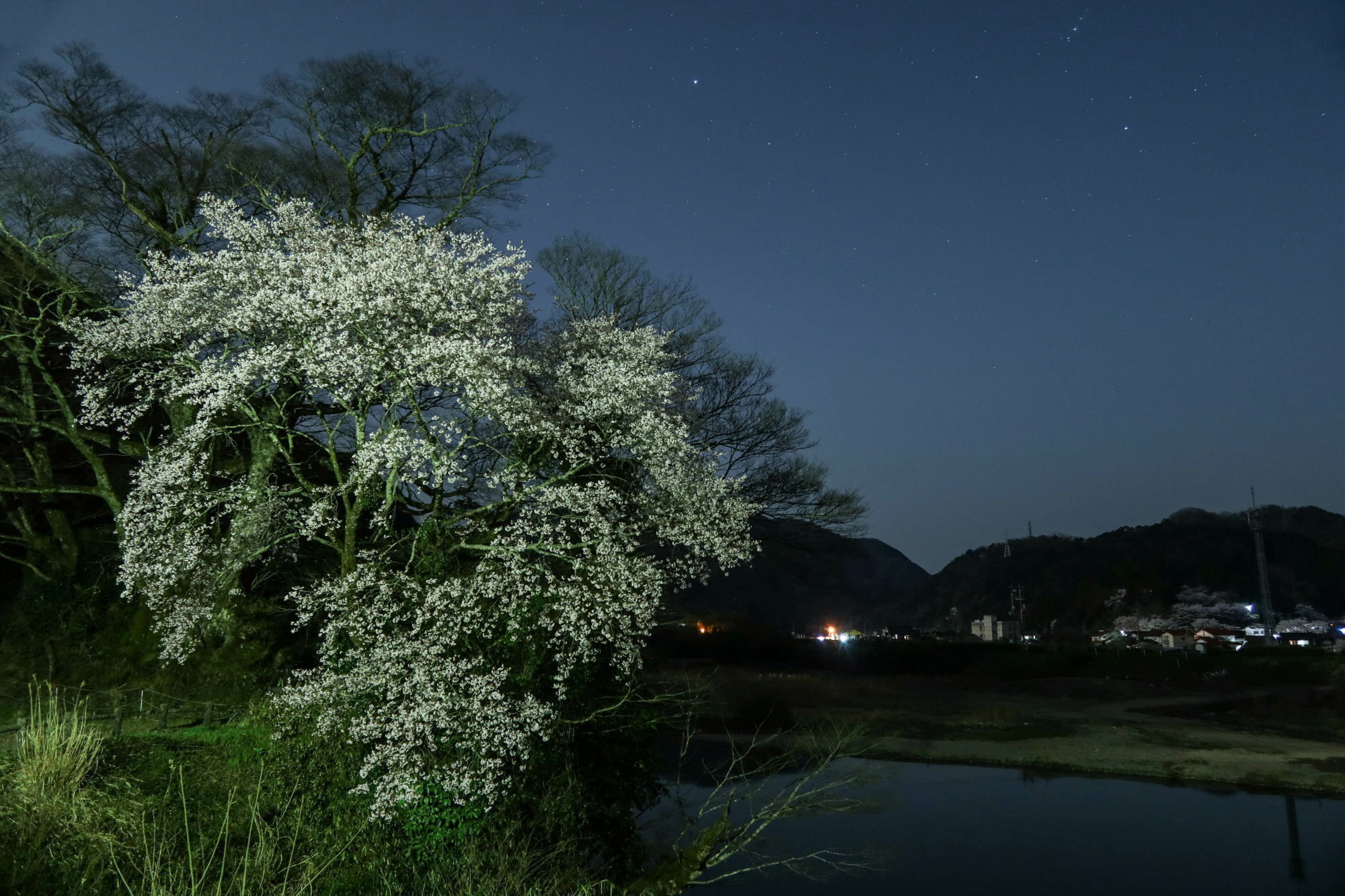 G1XMarkⅢで夜桜を撮る_e0015567_20581018.jpg