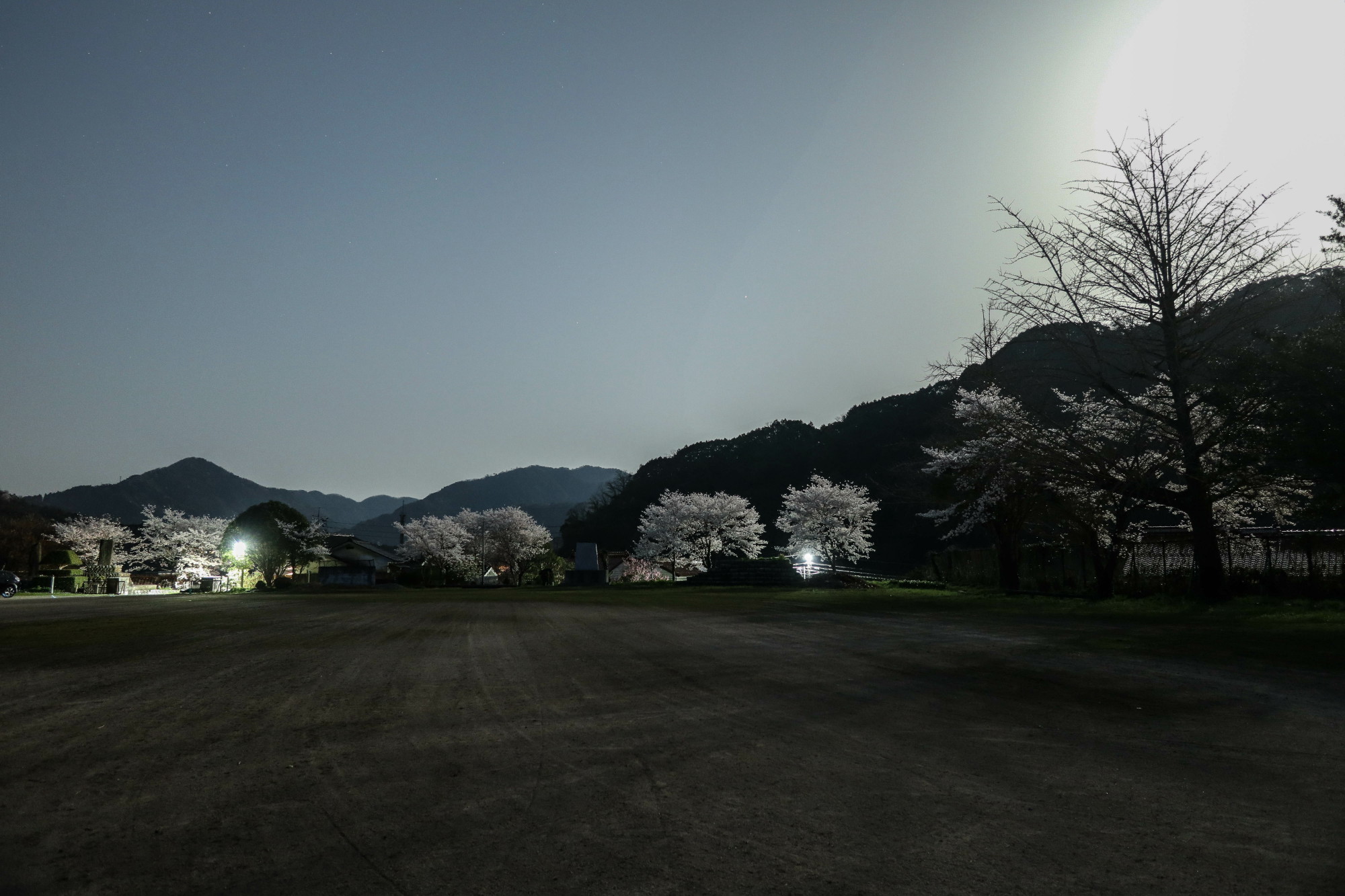 G1XMarkⅢで夜桜を撮る_e0015567_20583090.jpg