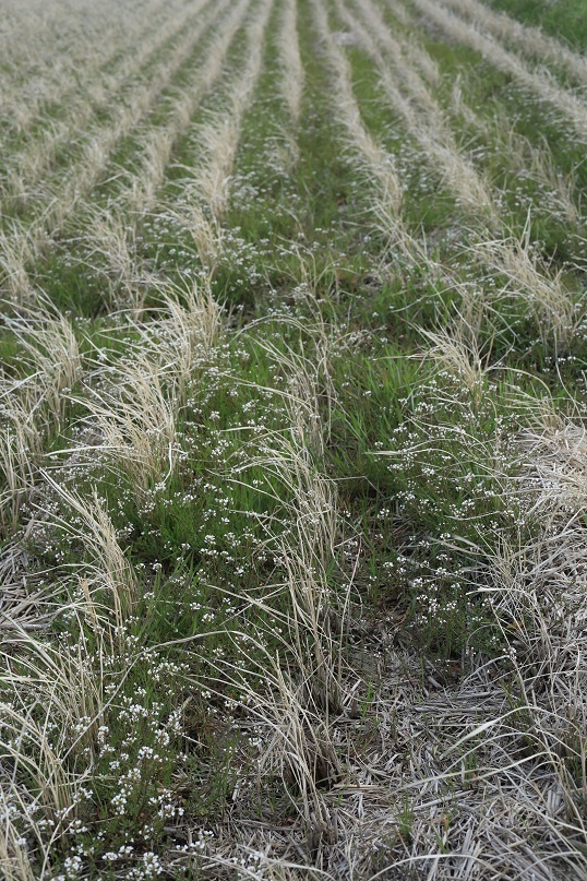 e0304170_14590553.jpg