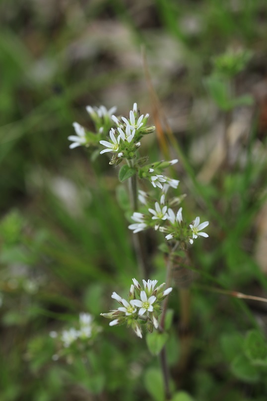 e0304170_15023156.jpg