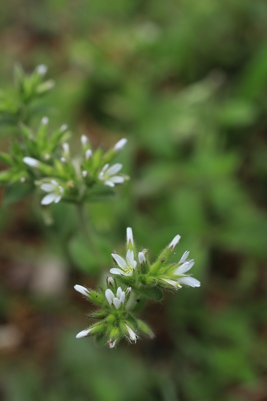e0304170_15024009.jpg
