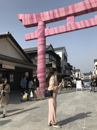 d0048577_16405011.jpeg