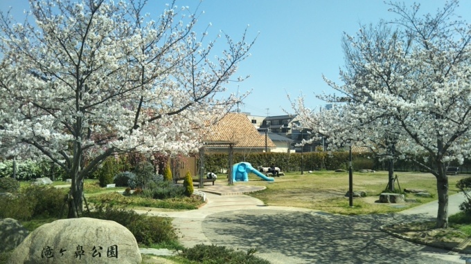 SAKURA_f0200477_22335264.jpg