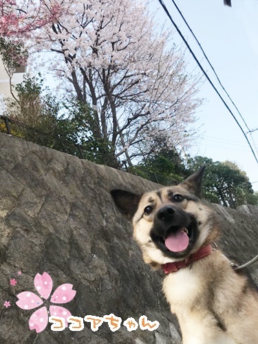 なかよし♪♪_f0357682_11112928.jpg
