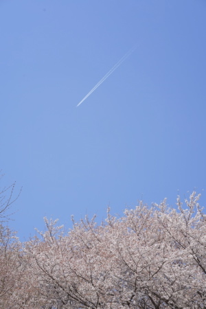 a0198883_22013737.jpg