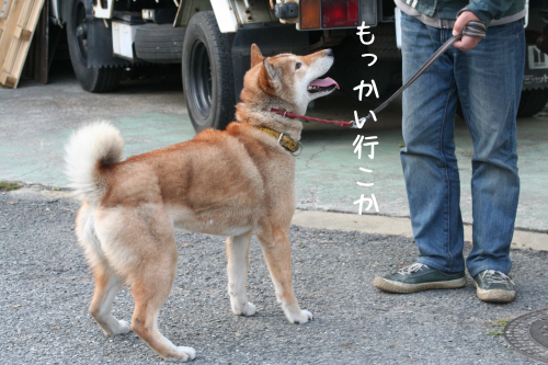 a0216583_23083726.png