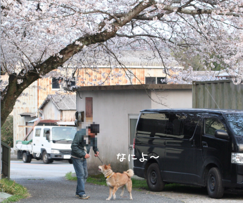 a0216583_23084119.png
