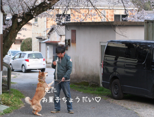 a0216583_23084576.png