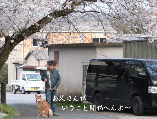 a0216583_23085244.png