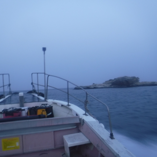 d0174683_00514819.jpeg