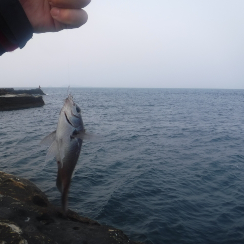 d0174683_00555995.jpeg