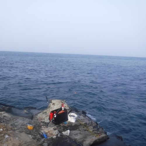 d0174683_01242274.jpeg