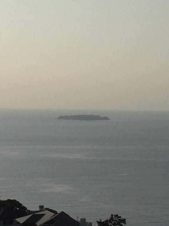 b0098584_17350416.jpeg