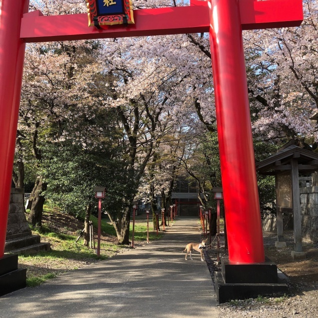 c0332184_11184723.jpeg