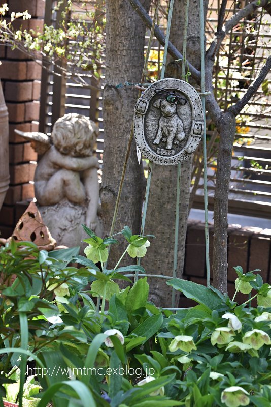 小さな球根植物とワンダーデコールのイヤープレート2018 : バラ