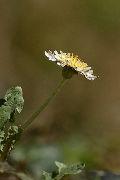 d0334291_16312086.jpg
