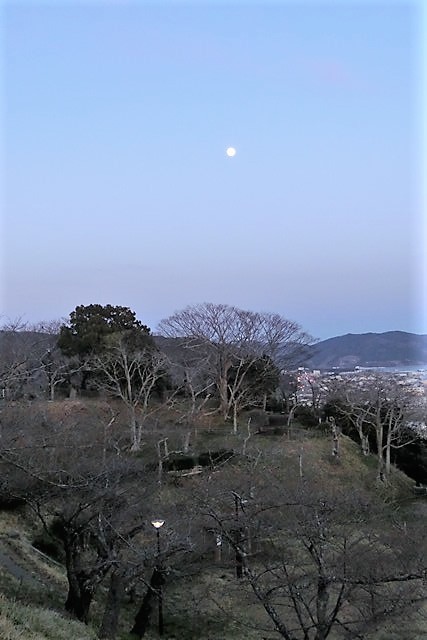d0181492_23463810.jpg