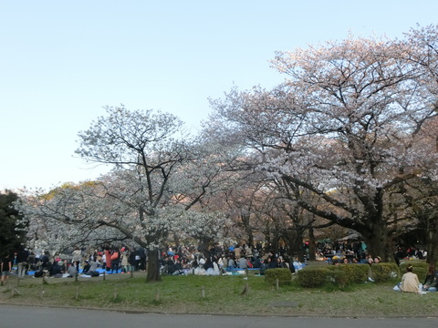 a0319693_7581941.jpg