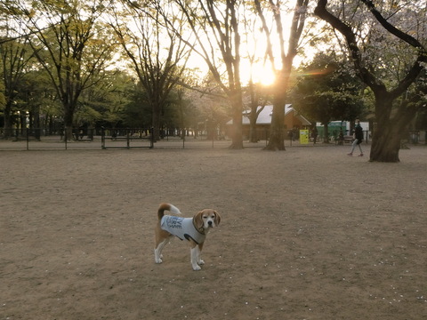 a0319693_842839.jpg